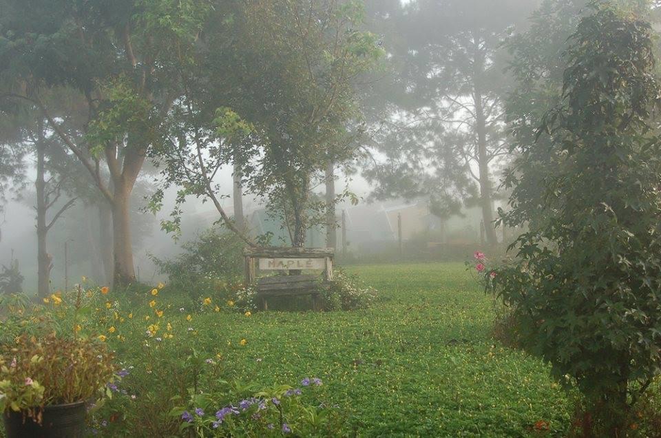 Red Z Cool Mountain Hotel Khao Kho Bagian luar foto