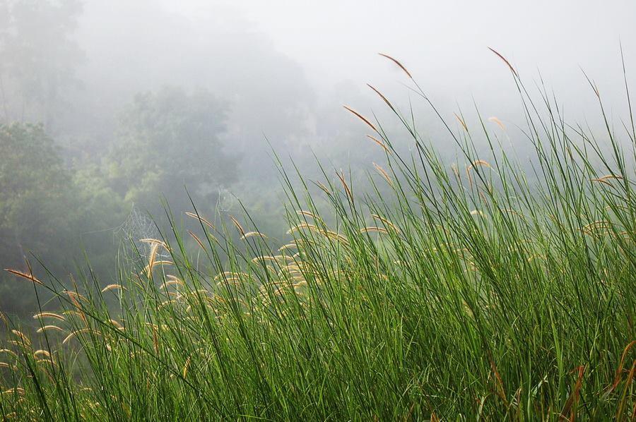 Red Z Cool Mountain Hotel Khao Kho Bagian luar foto