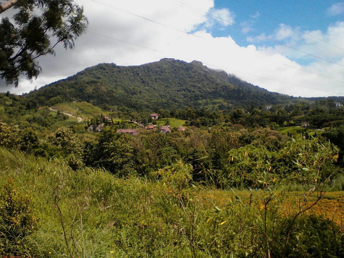 Red Z Cool Mountain Hotel Khao Kho Bagian luar foto